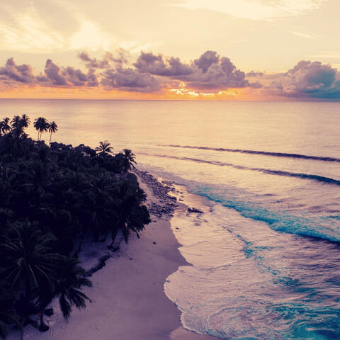 Backdrop for Nights Out - Latin Music