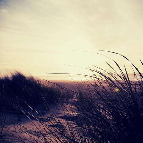 Latin Trumpet - Ambiance for Beaches