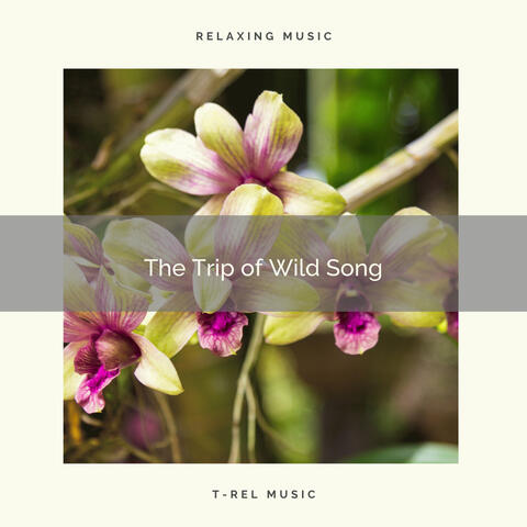 ! ! ! ! ! ! ! ! ! ! The Trip of Wild Song