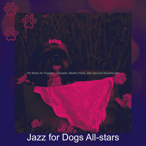 Hot Music for Puppers - Trumpet, Electric Piano, Alto Sax and Soprano Sax