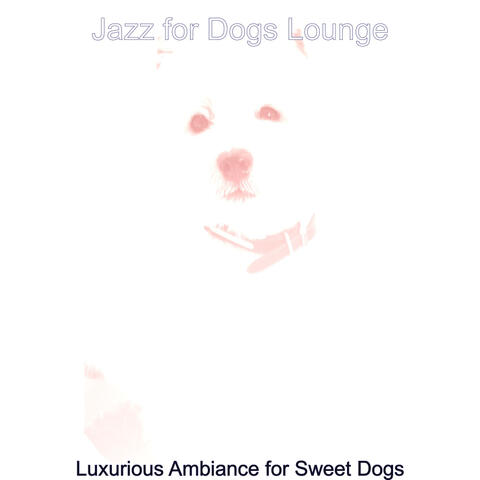 Luxurious Ambiance for Sweet Dogs