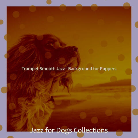 Trumpet Smooth Jazz - Background for Puppers