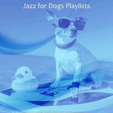 Backdrop for Sweet Dogs - Successful Trumpet, Electric Piano, Alto Sax and Soprano Sax