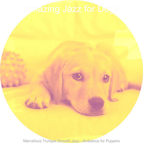 Marvellous Trumpet Smooth Jazz - Ambiance for Puppers