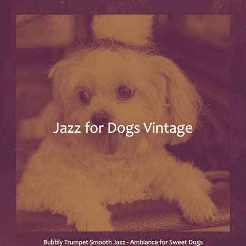 Bubbly Trumpet Smooth Jazz - Ambiance for Sweet Dogs