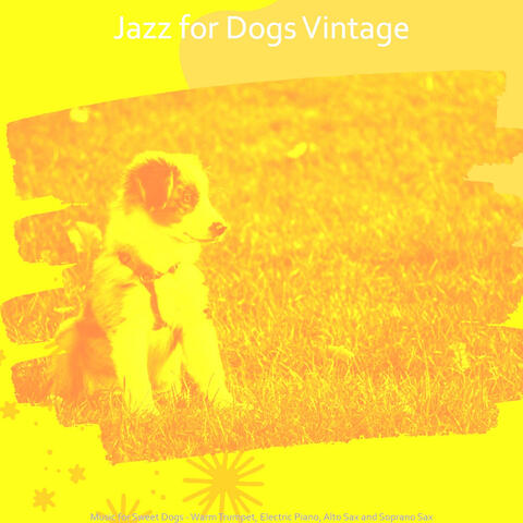 Music for Sweet Dogs - Warm Trumpet, Electric Piano, Alto Sax and Soprano Sax
