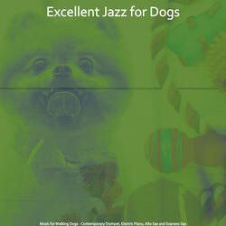 Contemporary Music for Feelings