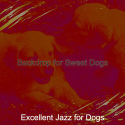 Contemporary Well Behaved Dogs