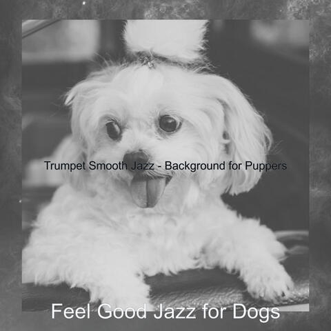 Trumpet Smooth Jazz - Background for Puppers