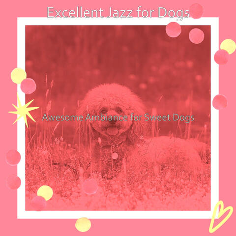 Awesome Ambiance for Sweet Dogs