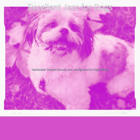 Fashionable Trumpet Smooth Jazz - Background for Dog Walking