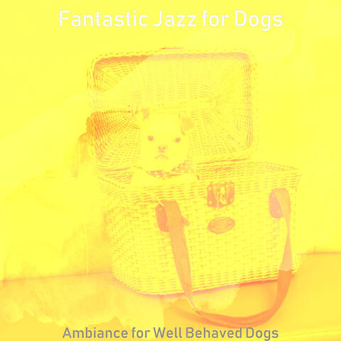 Ambiance for Well Behaved Dogs