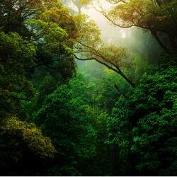 Bird Sounds in Nature, Pt. 6