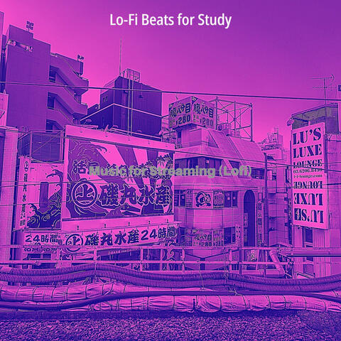 Music for Streaming (Lofi)