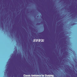 Wonderful Lofi Chill-hop - Vibe for Streaming