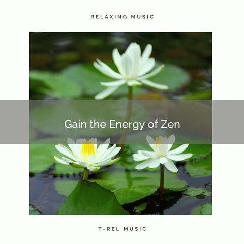 ! ! ! ! ! Gain the Energy of Zen