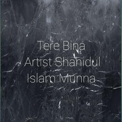 Tere Bina