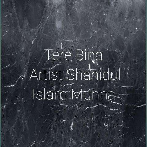 Tere Bina