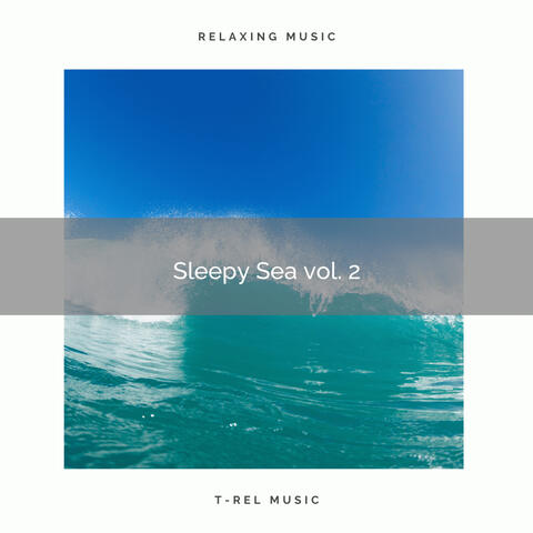 ! ! ! ! ! ! Sleepy Sea vol. 2