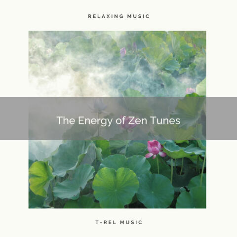 ! ! ! ! ! ! ! ! ! ! The Energy of Zen Tunes