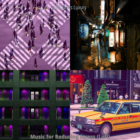 Music for Reducing Stress (Lofi)