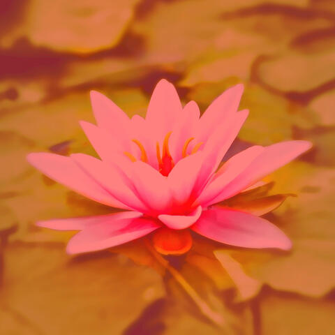 Music for Daydreaming - Ambiance for Massage Therapy