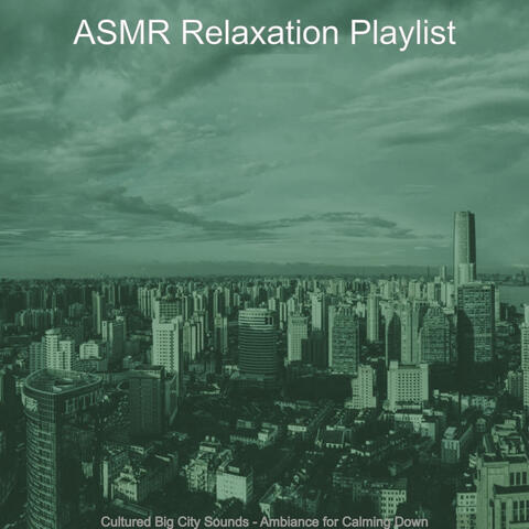 Cultured Big City Sounds - Ambiance for Calming Down