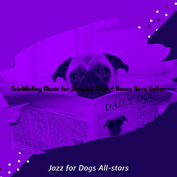 Astounding Saxophone Bossa Nova - Vibe for Sleeping Dogs