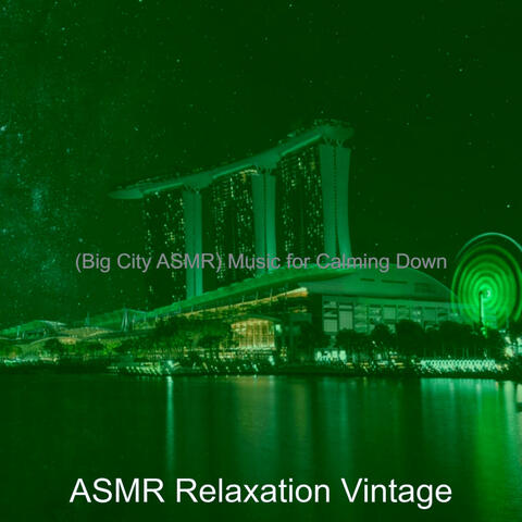 (Big City ASMR) Music for Calming Down