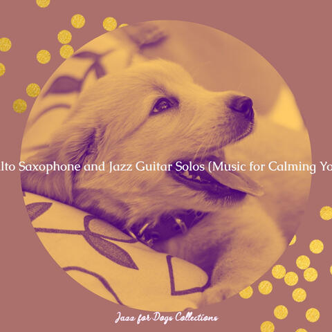 Flute, Alto Saxophone and Jazz Guitar Solos (Music for Calming Your Pup)