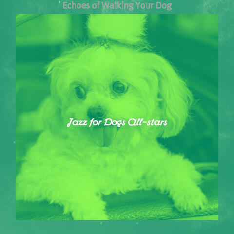 Echoes of Walking Your Dog