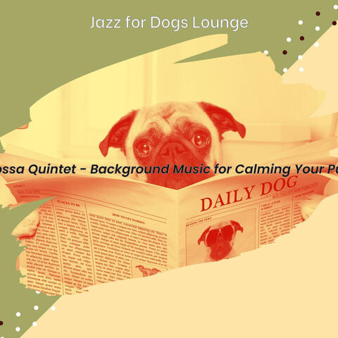 Bossa Quintet - Background Music for Calming Your Pup