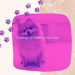 Alluring Moods for Calming Your Pup