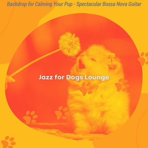 Backdrop for Calming Your Pup - Spectacular Bossa Nova Guitar