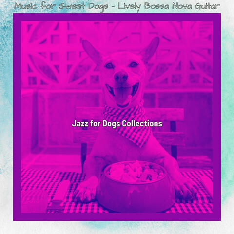 Music for Sweet Dogs - Lively Bossa Nova Guitar