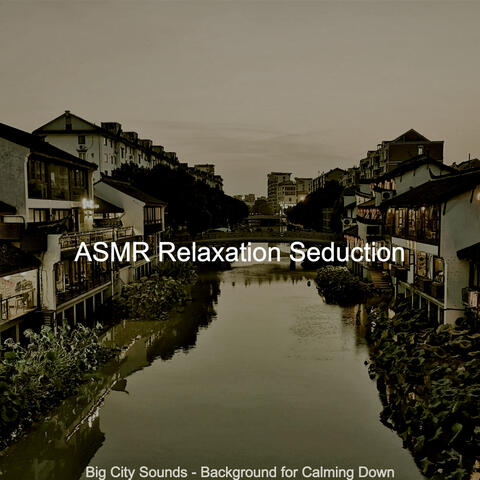 Big City Sounds - Background for Calming Down