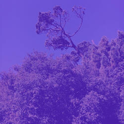 Nurturing (Relaxation)