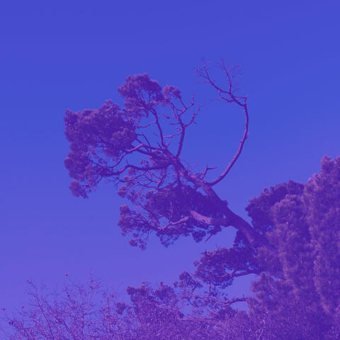 Background Music (Deep Sleep)