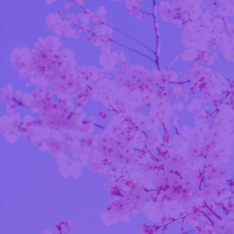 Inner Peace (Background Music)