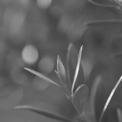 Memories - Relaxation