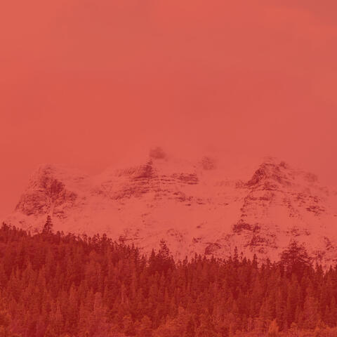 Tranquility (Background Music)