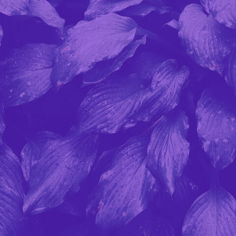 Background Music - Deep Sleep