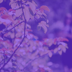 Memories - Deep Sleep