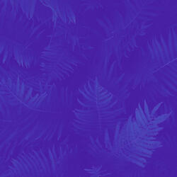 Memories (Unwinding)