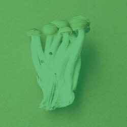 Memories (Relaxation)