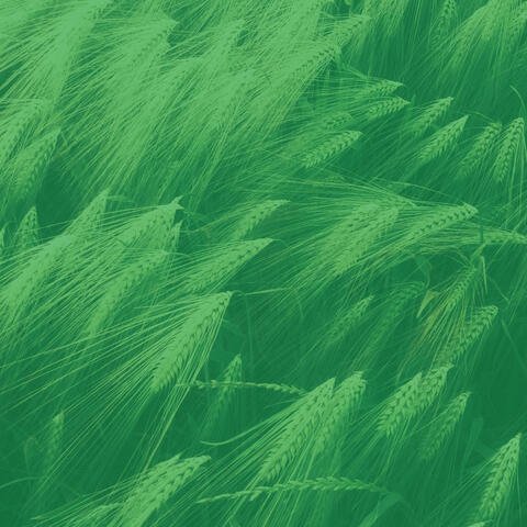 Background Music - Deep Sleep
