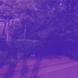 Dreams (Deep Sleep)