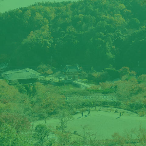 Tranquility (Bubbly)