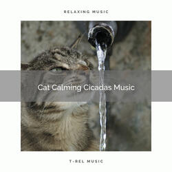 Deep Sleep with Cicadas Songs pt. 3