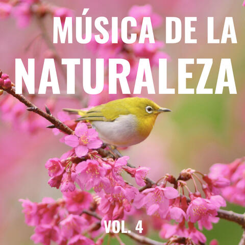 1 Música de la Naturaleza vol. 4